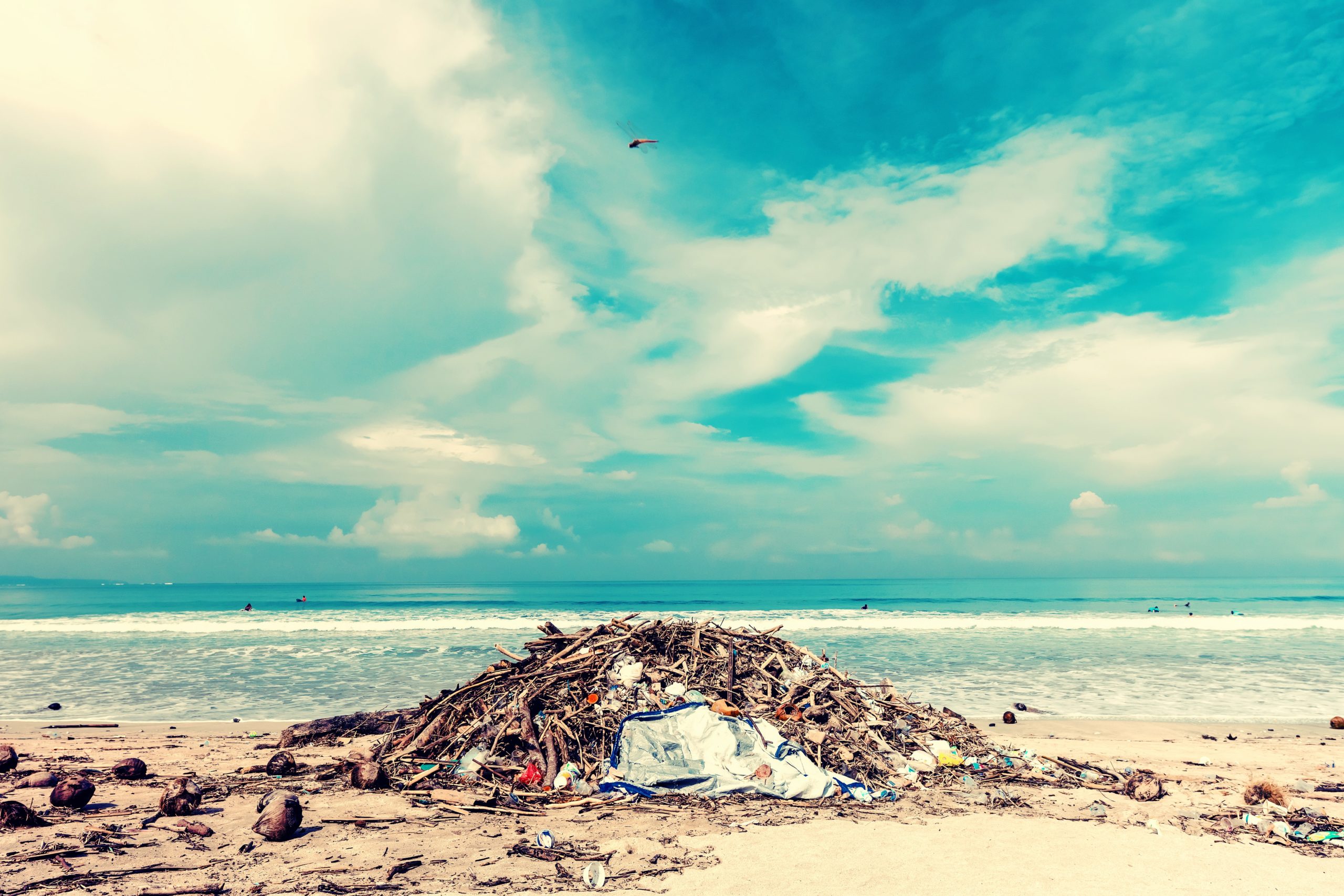 leave no trace at the beach