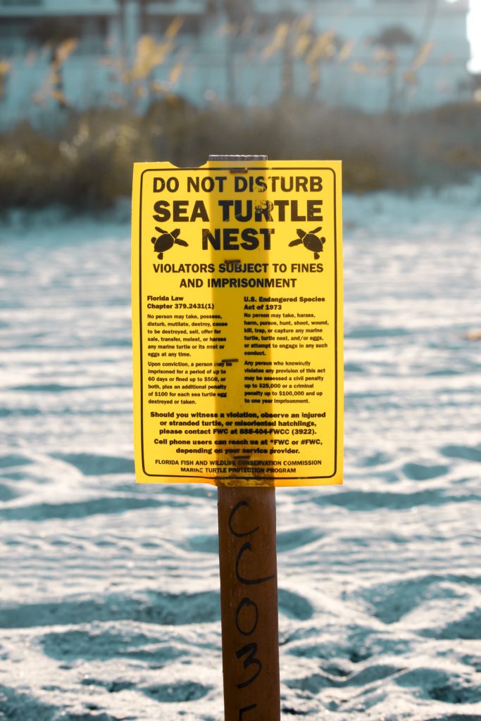 respect marine life do not disturb sea turtle sign