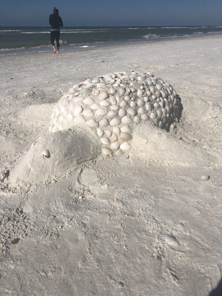 sea turtle sand castle