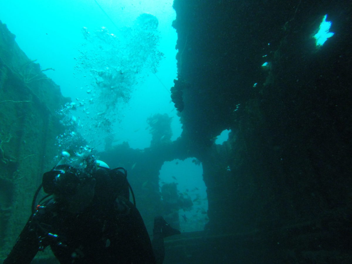 Diving The Peter B. McAllister Wreck - Fort Lauderdale - OceanWide ...