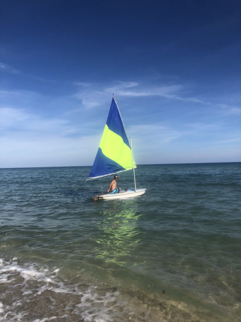 sailing sunfish on the ocean