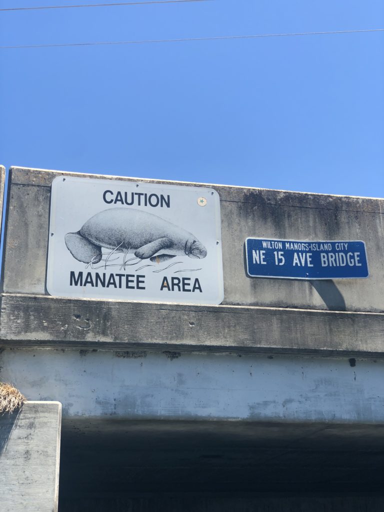 caution manatee area sign while paddling in fort lauderdale