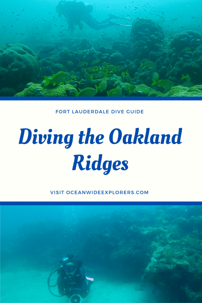 Diving the Oakland Ridges
