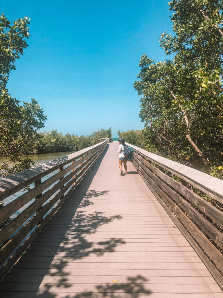 boardwalk to the beach lovers key state park