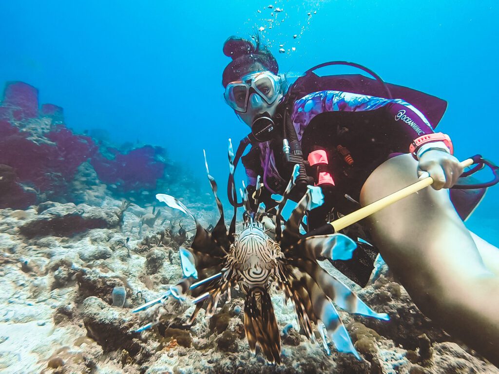 speared lionfish on hammerhead reef in fort lauderdale