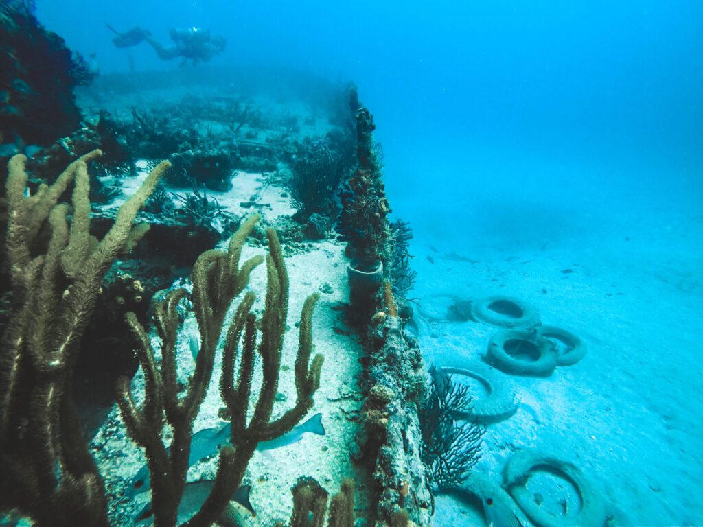 robert edmister shipwreck in fort lauderdale with tires