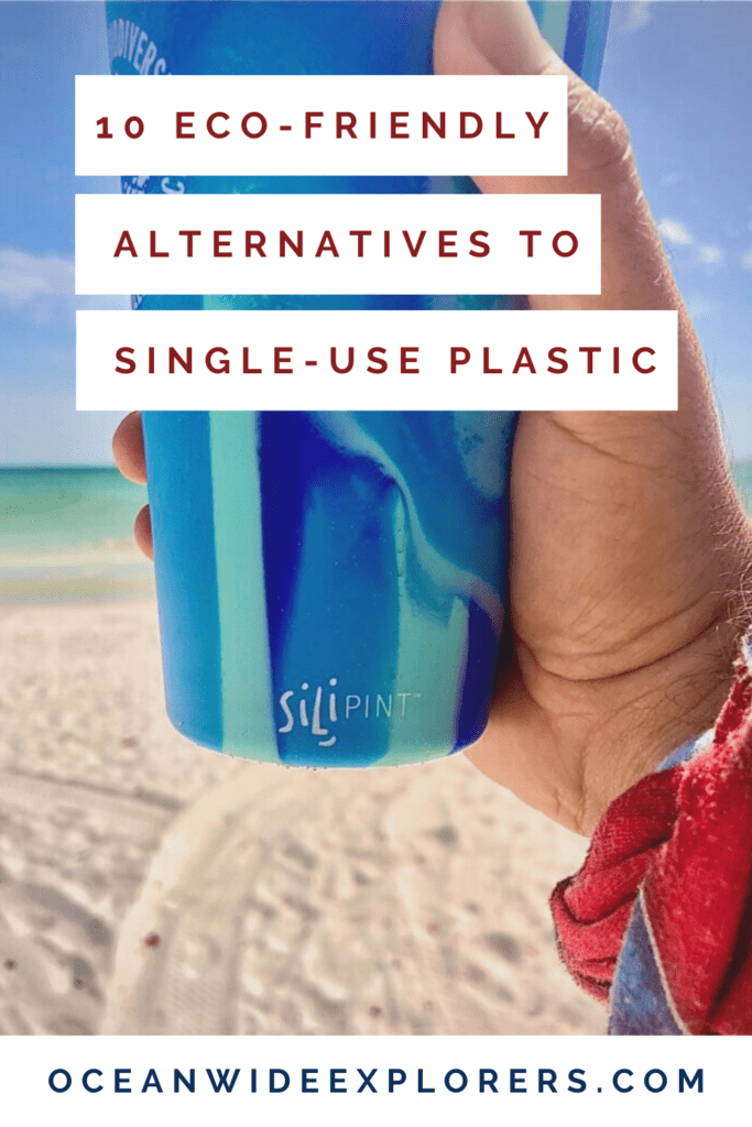 eco-friendly alternatives to single use plastic on pinterest