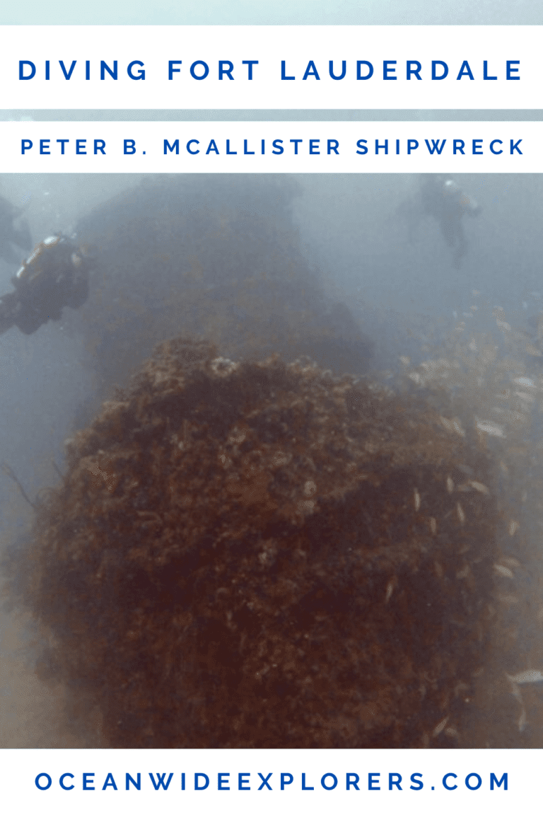 Diving The Peter B. McAllister Wreck - Fort Lauderdale - OceanWide ...