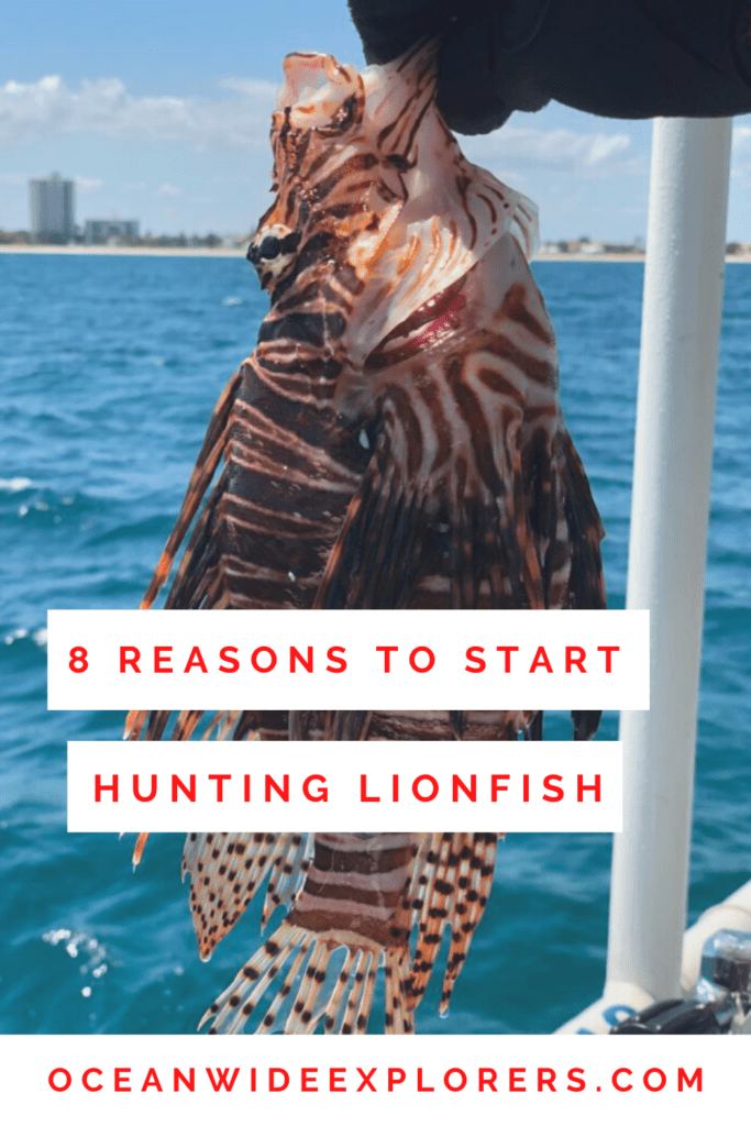pin this post to pinterest hunting lionfish
