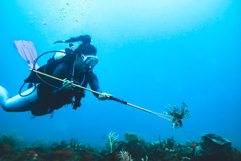 woman with pole spear spearfishing lionfish in florida