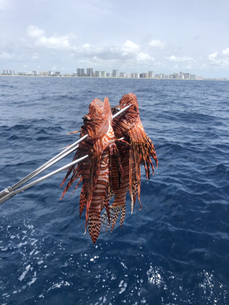 lionfish hunting locations fort lauderdale