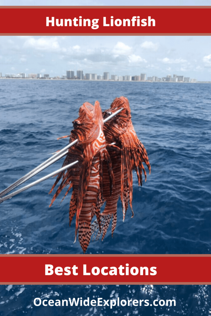 hunting lionfish: best locations