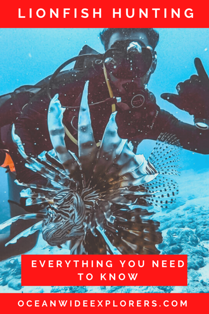 lionfish hunting add to pinterest