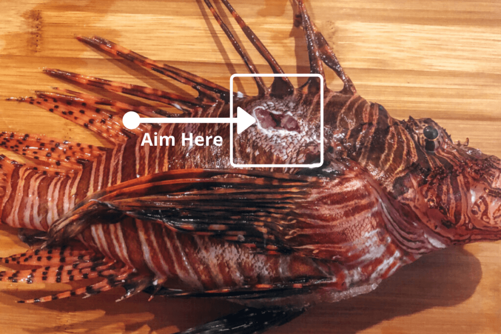 where to aim on a lionfish