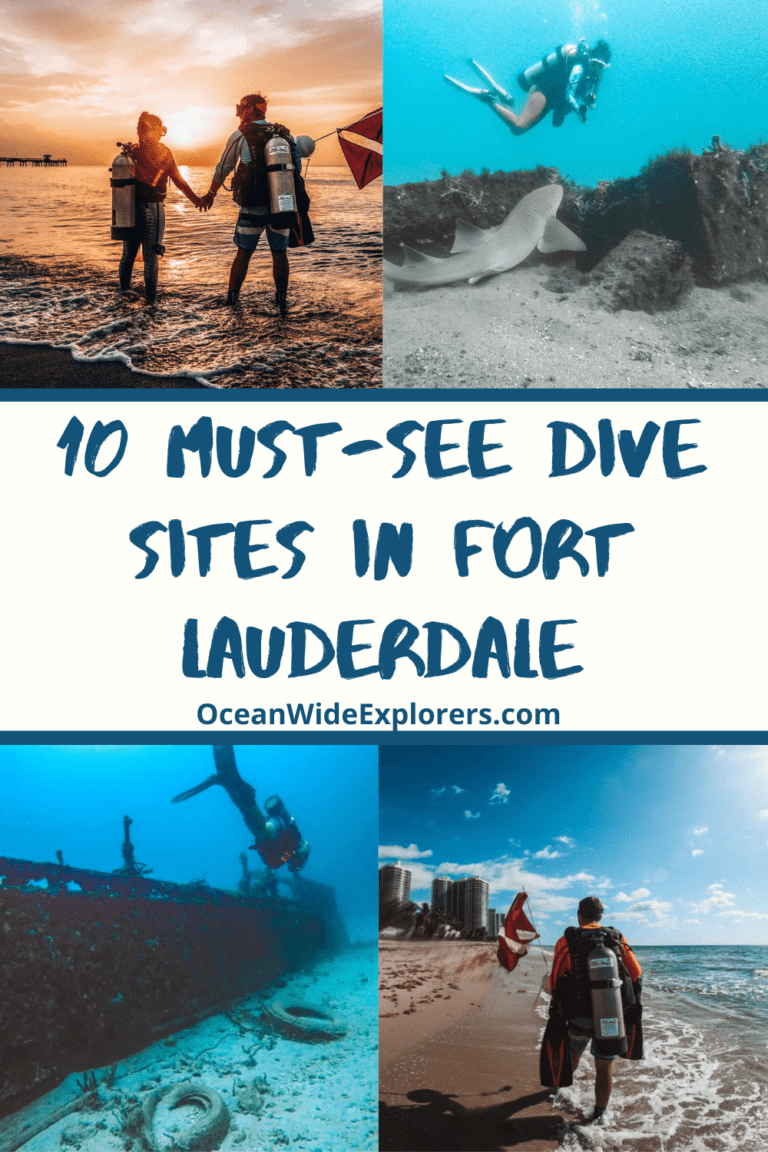 10 Must See Dive Sites In Fort Lauderdale Oceanwide Explorers