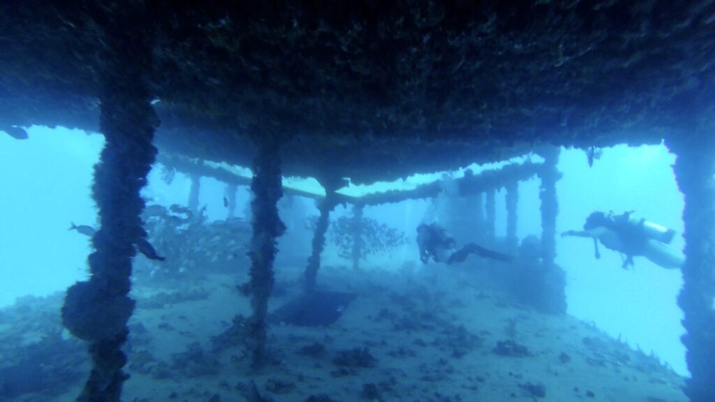 under the canopy of the tracey shipwreck in fort lauderdale