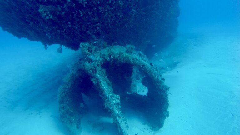 Fort Lauderdale Wreck Trek: Diving the Jay Scutti