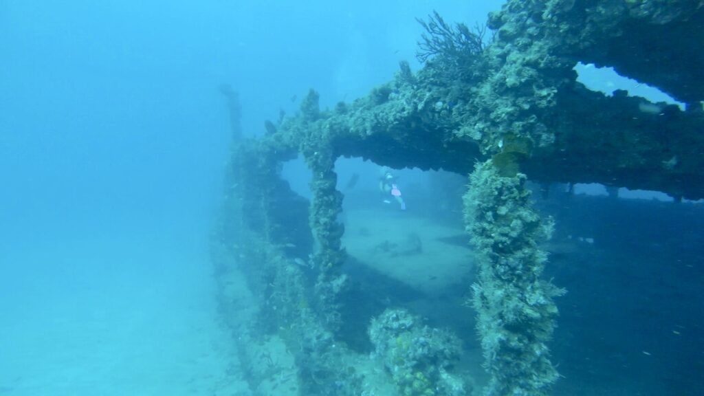 starboard side of the tracey shipwreck in fort lauderdale scuba diving