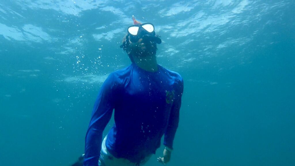 snorkeling in south florida