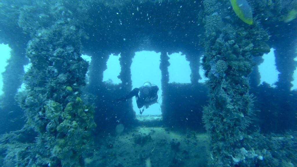 scuba diver penetrating through the helm of the tracey shipwreck in fort lauderdale