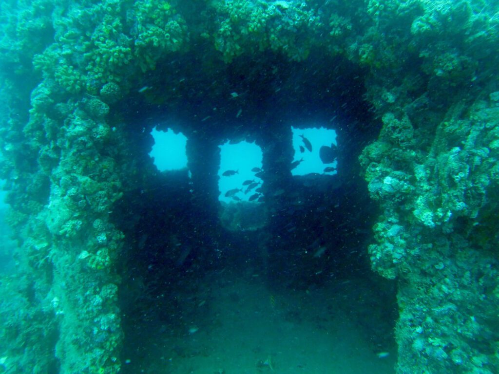 inside the wheelhouse of the merci jesus shipwreck fort lauderdale wreck trek