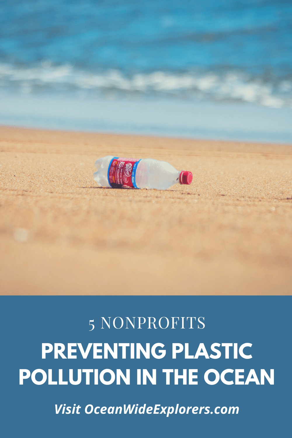 5 Nonprofits Preventing Plastic Pollution in the Ocean