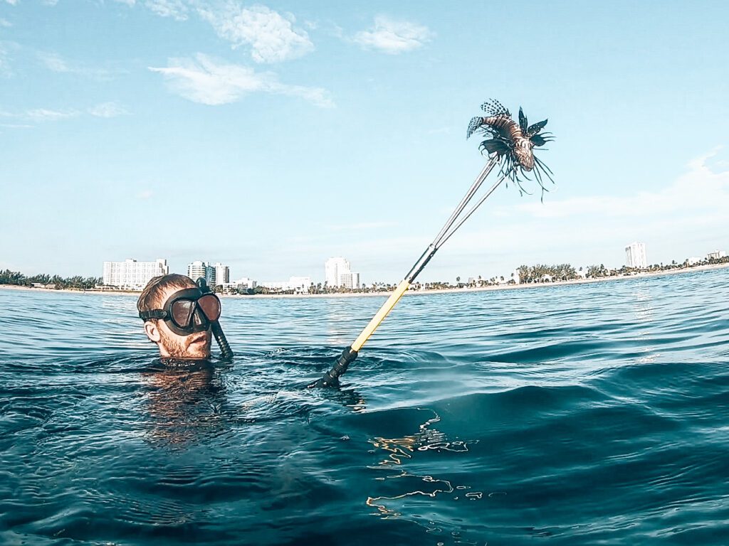 lionfish on a spear while freediving