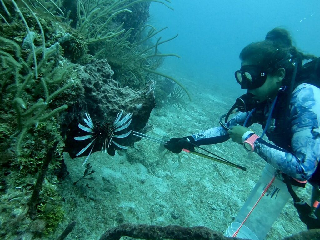 spearfishing lionfish on a deep dive in fort lauderdale