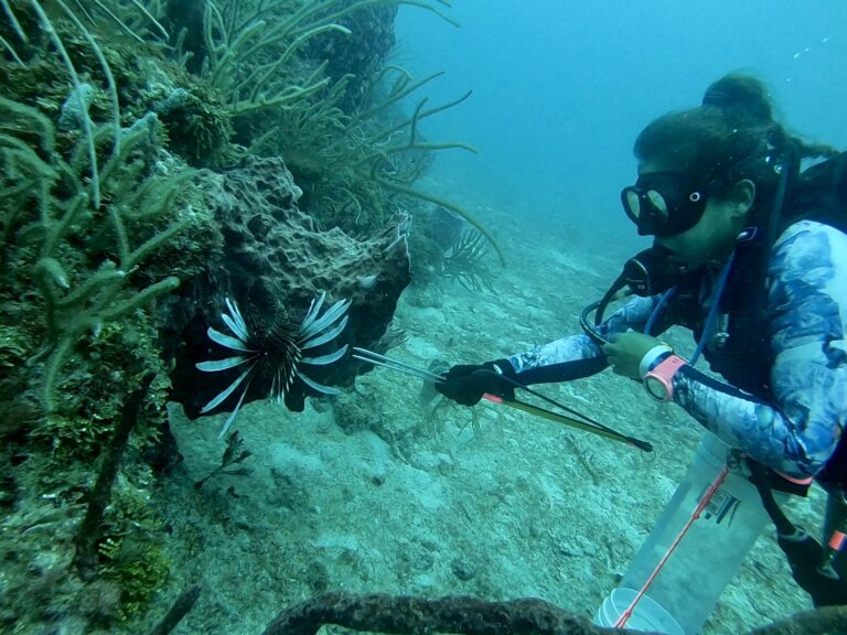 What to Do When You Miss Your Shot While Hunting Lionfish