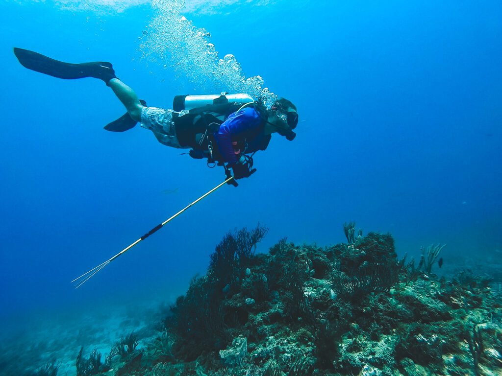 diver with a pole spear during drift dive looking for lionfish