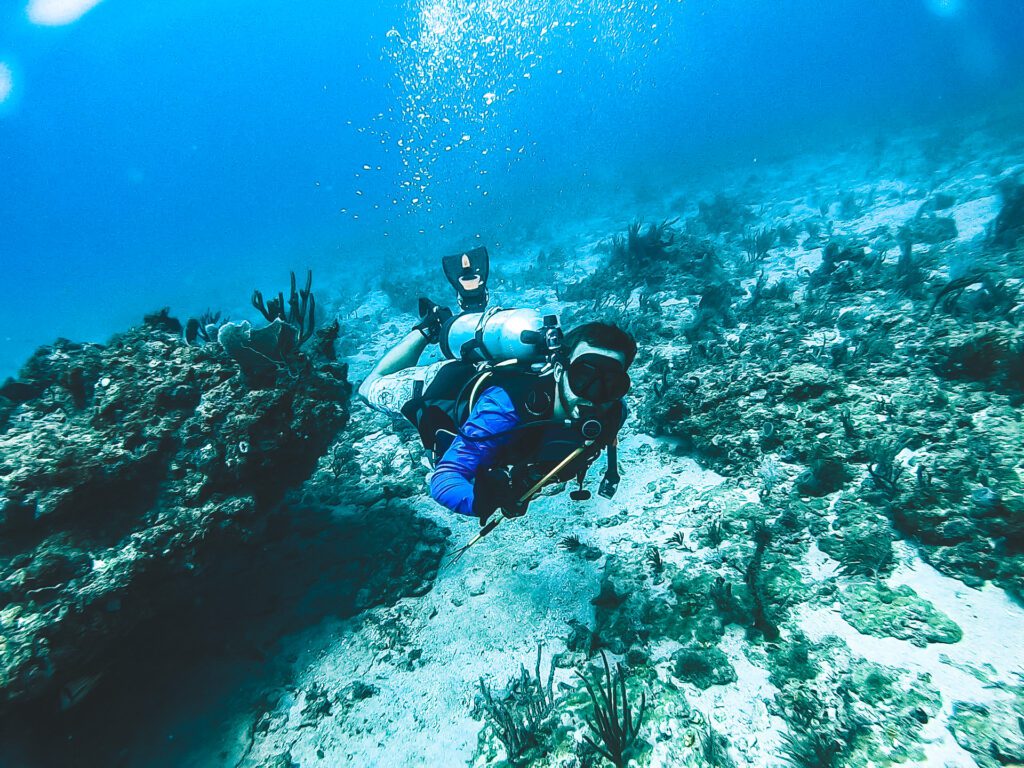 drift dive in jupiter florida during grouper aggregration