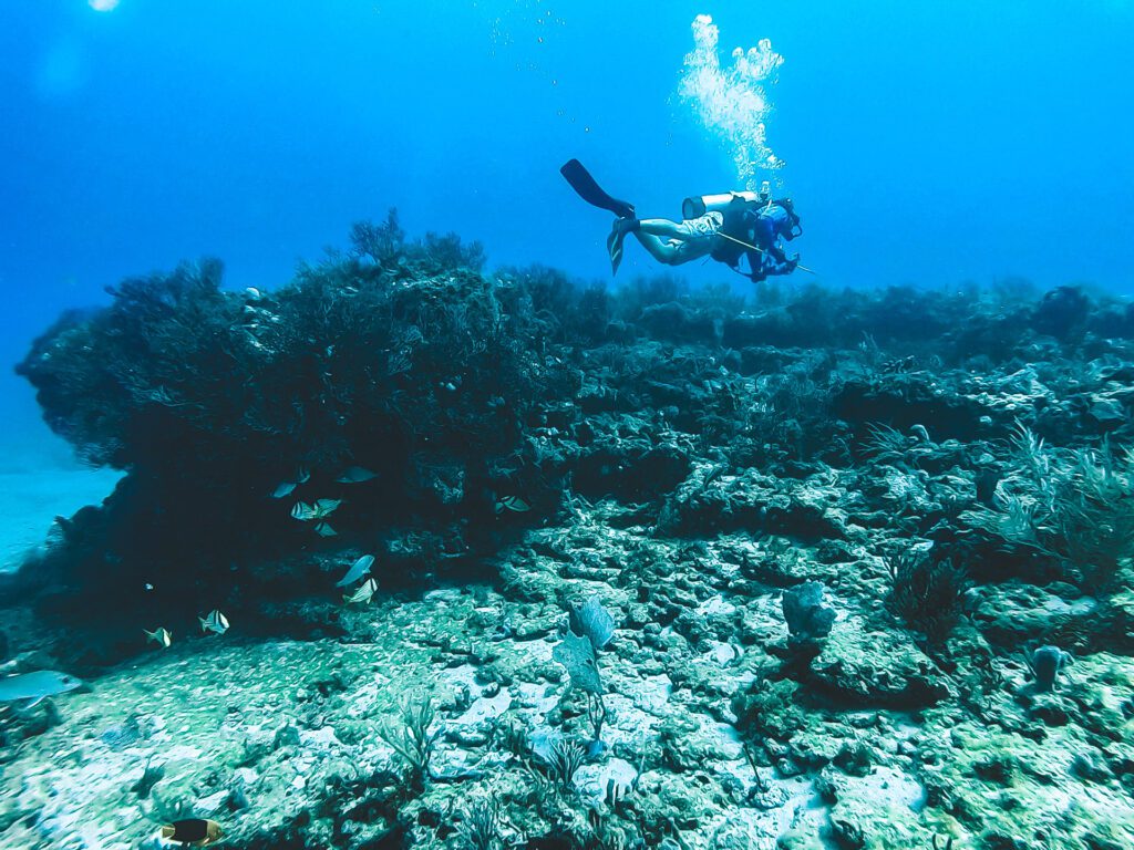 drift diving in jupiter florida