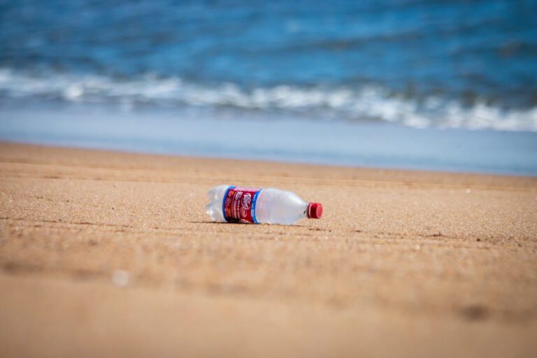 5 Nonprofits Preventing Plastic Pollution in the Ocean