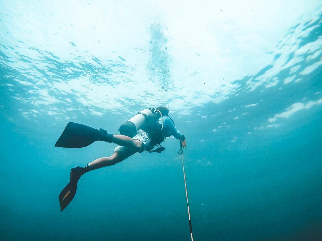 scuba diver with spear coming to the surface