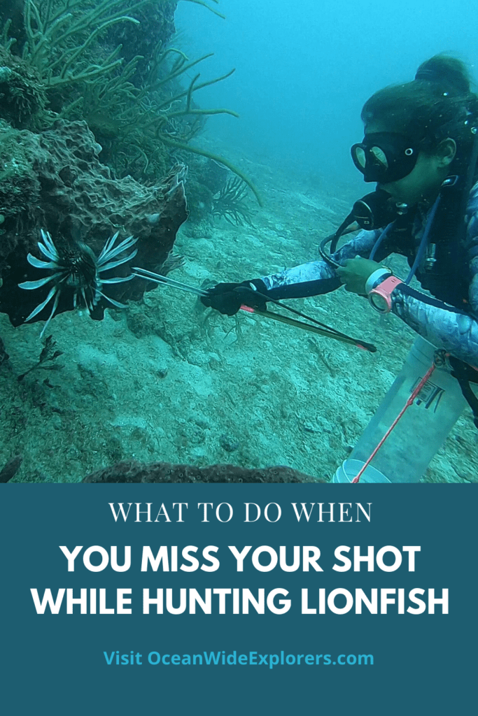 what to do when you miss a lionfish while hunting