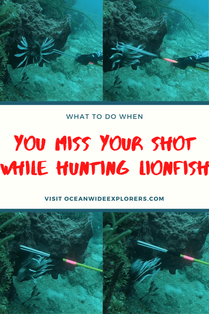 what to do when you miss your shot hunting lionfish