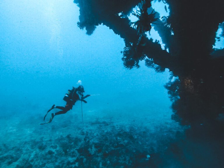 The Ultimate Guide to Scuba Diving in Fort Lauderdale