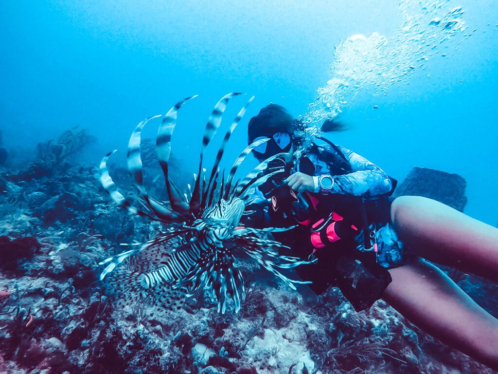 woman with lionfish on her spear while scuba diving