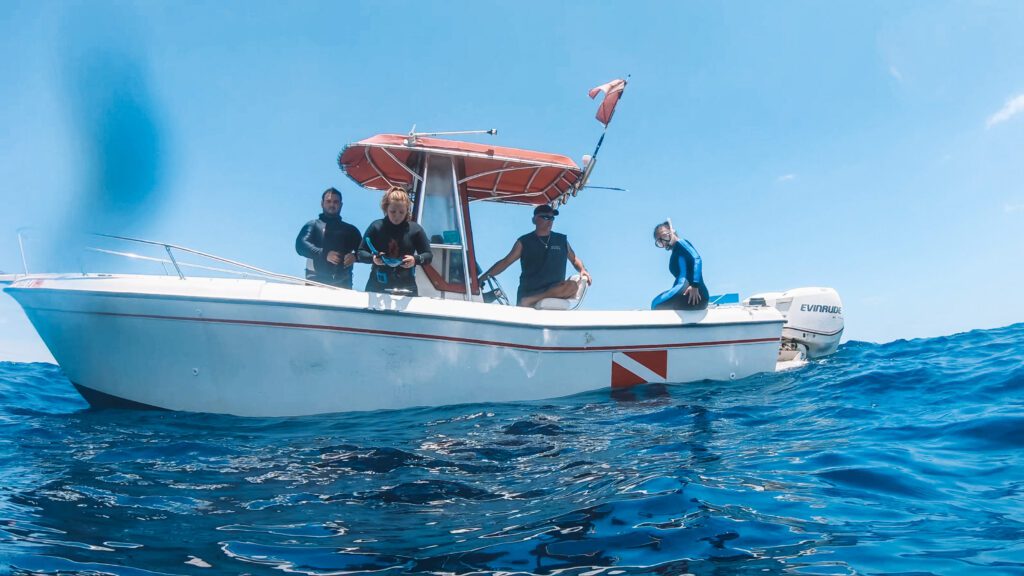 dive charter boat shark tours florida