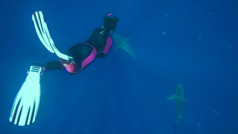 New Mother’s Day Traditions: Snorkeling With Sharks