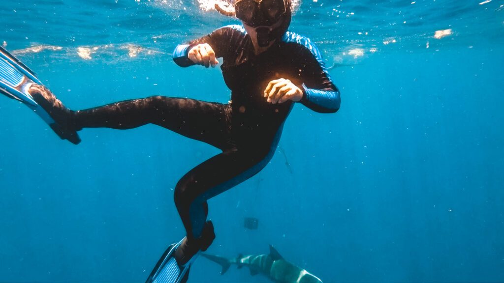 snorkeler in water with shark in the background