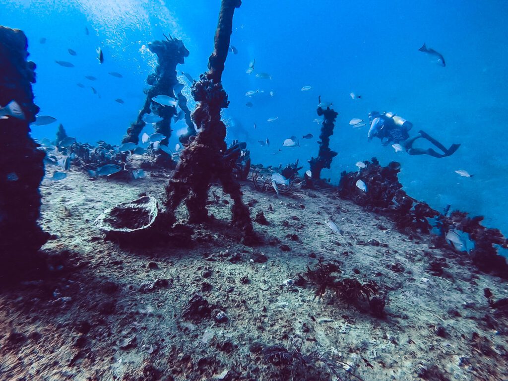 top of the ebenezer shipwreck in fort lauderdale
