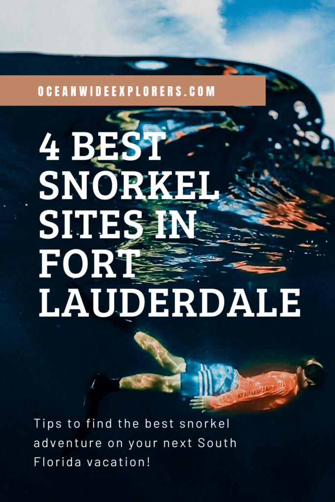 best snorkel sites in fort lauderdale (1)