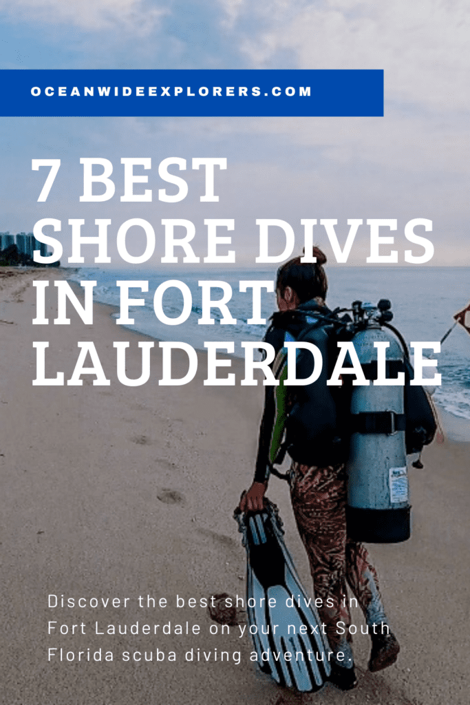 7 Best Shore Dives in Fort Lauderdale