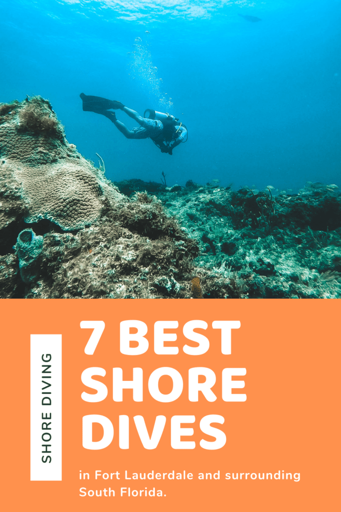 Best Shore Dives in Fort Lauderdale-2