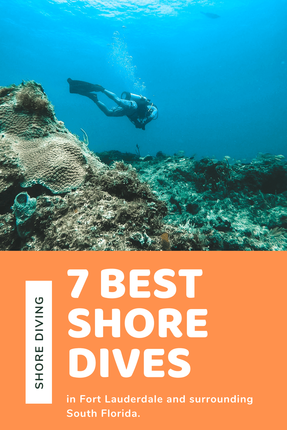 7 Best Shore Dives in Fort Lauderdale - OceanWide Explorers