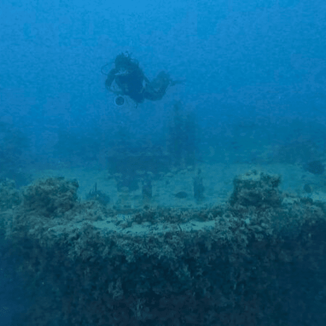 Diving the MV Dantor Shipwreck in Fort Lauderdale