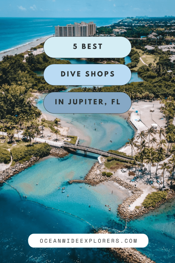 best dive shops in jupiter fl pinterest