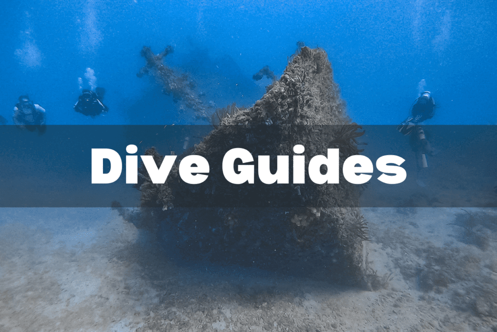 dive guide image