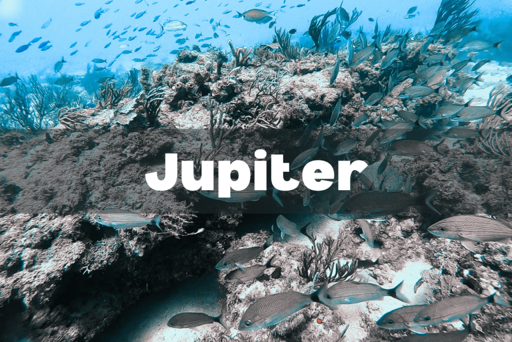 jupiter scuba diving guide